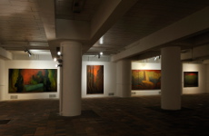 Galerie výtvarného umění v Mostě