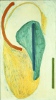 Olej na plátně, 105 x 50 cm